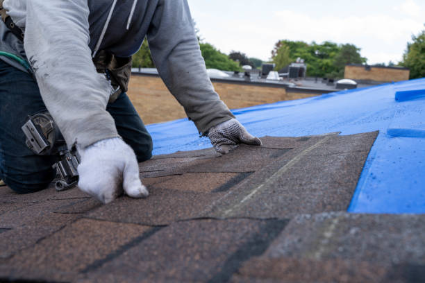 Best Tile Roofing Contractor  in Harbor Beach, MI