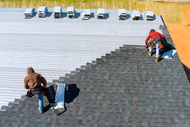 Best Shingle Roofing Installation  in Harbor Beach, MI