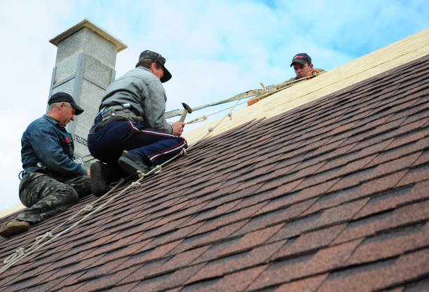 Best Emergency Roof Repair  in Harbor Beach, MI