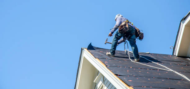 Best Local Roofing Companies  in Harbor Beach, MI